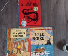 Lot de 5 BD Tintin Série B 