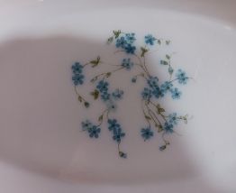 Plat fleur bleue Arcopal