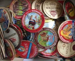 Collection Tyrosemyophile + Livre