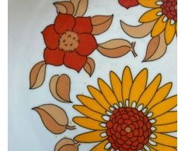 ASSIETTES CREUSES MELAMINE TEFAL ANNEES 70