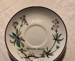 Sous tasse à café villeroy et Boch botanica 