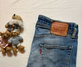 Jean Levis 511 Slim