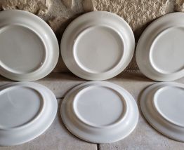 6 grandes assiettes à fleurs tons marron