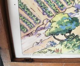 Affiche scolaire géographie