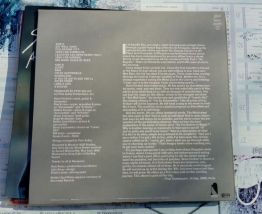 Vinyle  Steve Forbert - Little Stevie Orbit - EO de 1980
