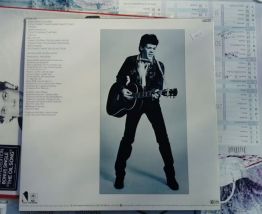 Vinyle Steve Forbert - Alive on arrival - EO de 1978