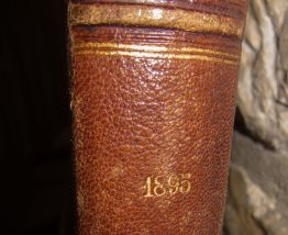 Revue Figaro illustré  1895