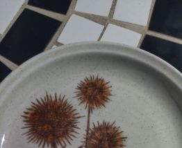 Assiette à dessert Sarreguemines Grès de Bourgogne spécial l