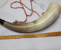 véritable corne de chasseur 