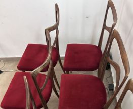6 Chaises 1950 Consorzio Sedie Friuli  