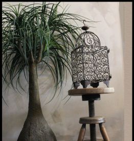 Cage à oiseaux XIXeme siècle