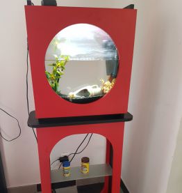 Meuble Aquarium