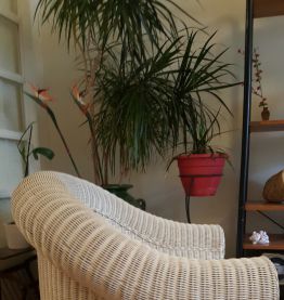 Fauteuil en rotin blanc