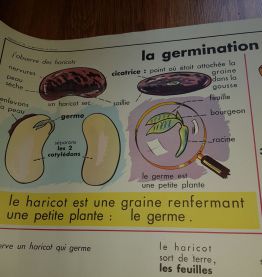 Affiche scolaire edition mdi 