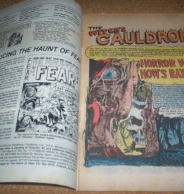 COMICS AMERICAIN NO 1 THE HAUNT OF FEAR HORROR mai 1991 