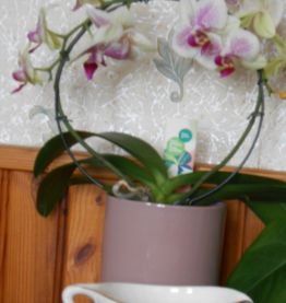 Saucière faiencerie de Gien modèle Chenonceaux