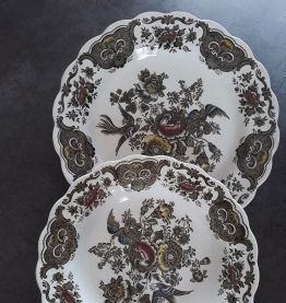 Lot de 2 assiettes Porcelaine Ridgway Staffordshire Windsor