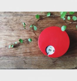 Minuteur Terraillon Richard Sapper