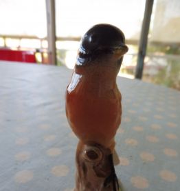 Oiseau de vitrine porcelaine
