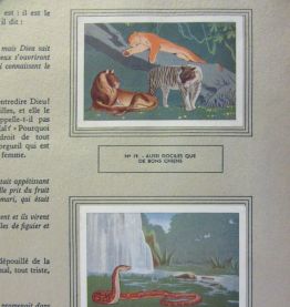 album images collection Suchard 1956