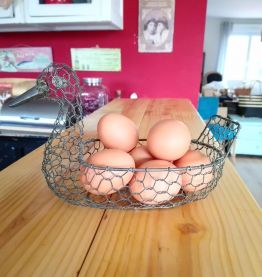 Panier à œufs grillagé 