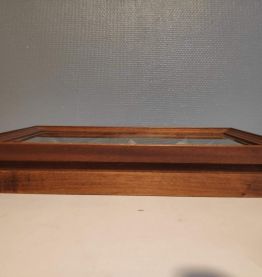 cadre rectangulaire 5 papillons naturalisés