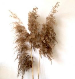 Flacon, Bocal XXL en verre