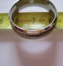 Bague homme /femme en Acier Inox Bande Titane.