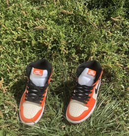 Nike Air Jordan 1 Mid Neuves Jamais Portées