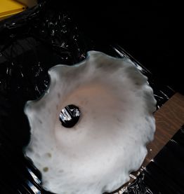 2 grosse tulipes    pate de verre   art deco