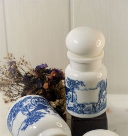 Lot Pot d'Apothicaire Vintage