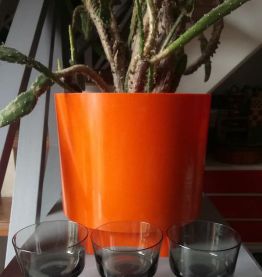 6 coupes en verre fumé - Années 70