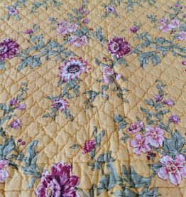   1  plaid et  1 oreiller