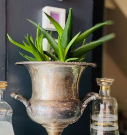 Vase Médicis avec anses en métal argenté - Circa 50