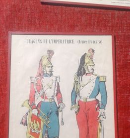 DRAGONS DE L IMPERATRICE.