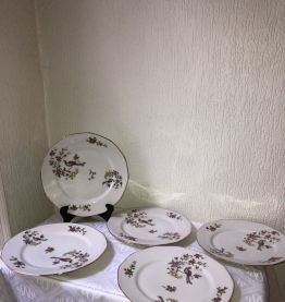 Lot de 5 assiettes en porcelaine « pâtes et émaux de Limoges