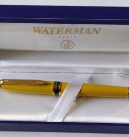 STYLO WATERMAN EXPERT 