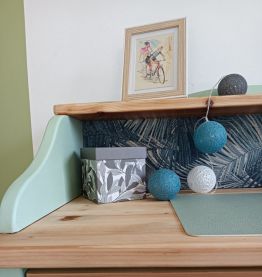 BUREAU RENOVE VERT TENDRE