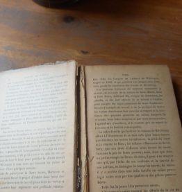 Livre contes de Schmid