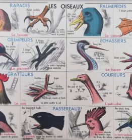 Affiche scolaire vintage MDI