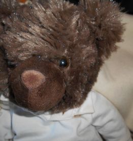 OURS GIORGIO BEVERLY HILLS MARRON 2007 COLLECTORS BEAR