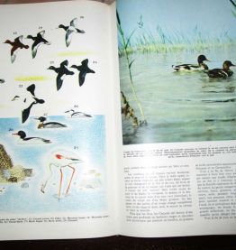 Encyclopédie du monde animal 3 VOLUMES