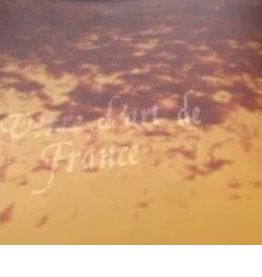 Lustre suspension verre art de france