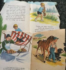 Lot 2 livres anciens pour enfants 