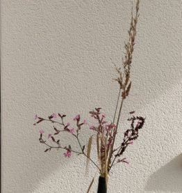 Bouteilles décoratives événements 