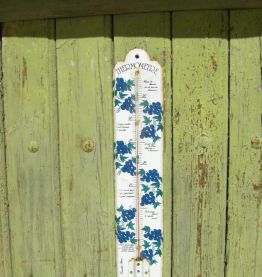 Thermomètre à décor de grappes de raisins