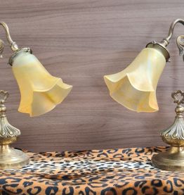  2 lampes  chevet bronze et laiton art nouveau  avec tulipe 