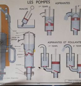 Affiche scolaire sciences 