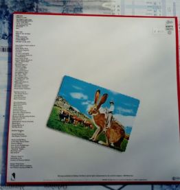 Vinyle Steve Forbert Jackrabbit Slim de 1981 et 45T oil song