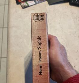 La Lumière des Justes Tome 5 : Sophie ou la fin des Combats